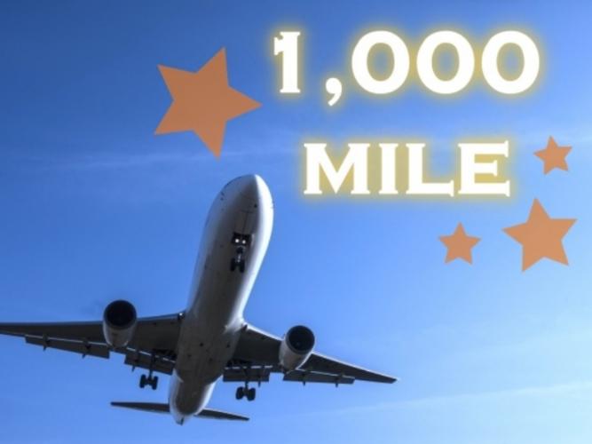 1000マイル付きプラン！