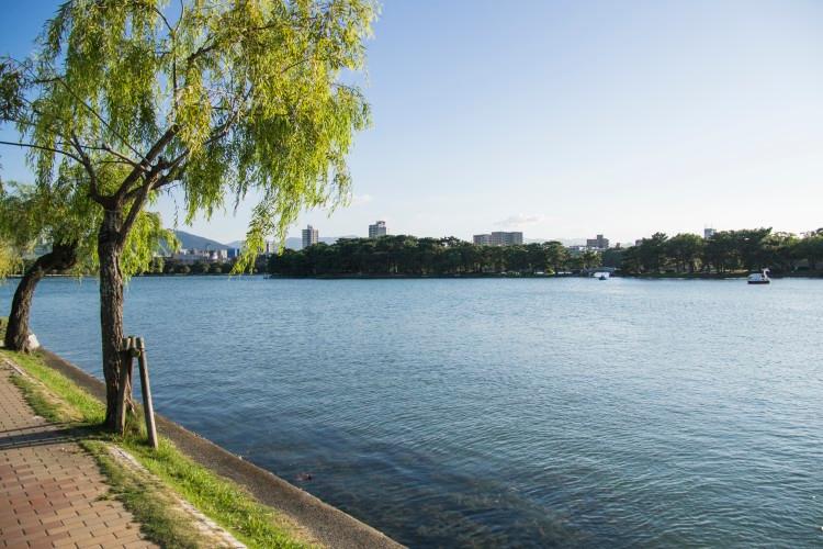 大濠公園（公共交通機関17分）