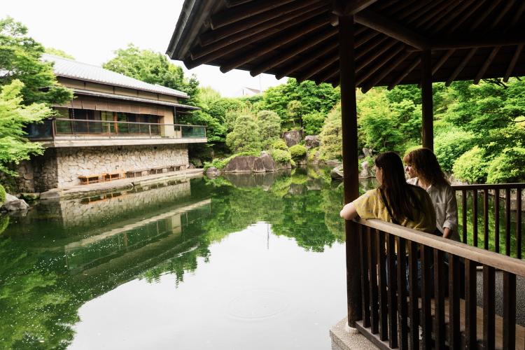 周辺観光│豊島区立目白庭園（徒歩で約15分）