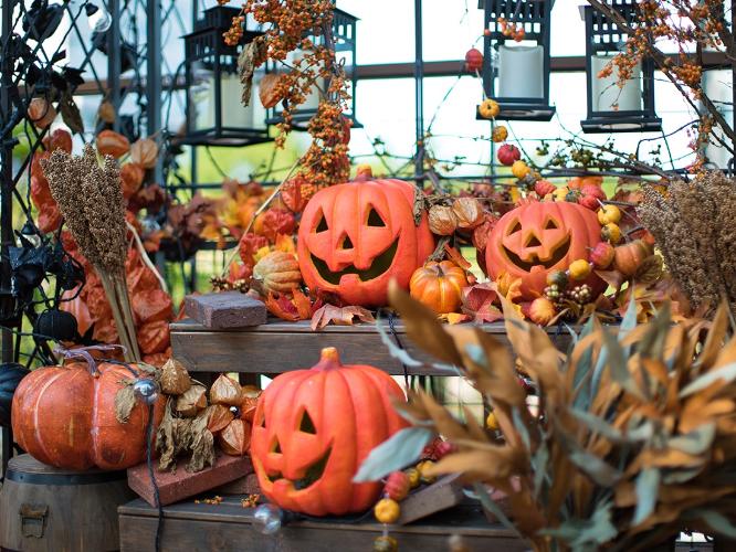 ハロウィン　ディスプレイイメージ