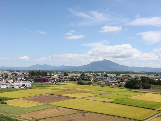 ■客室からの景色（※お部屋によって異なります）