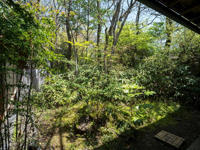 離れ|温泉内湯・中庭テラス付 和洋室「柑子」