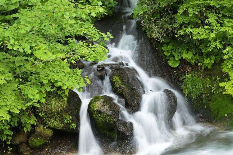 ホテル前の景色／ホテル前にはニセコアンベツ川の渓流が。滝が流れ秋には紅葉が愉しめます。