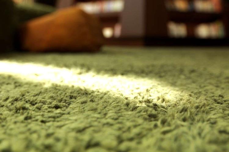 【森ラウンジ】ふかふかの緑色のカーペットでは、家にいるかのように靴を脱いでお寛ぎください