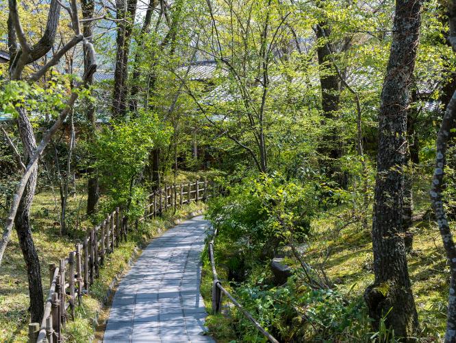 雑木林の小径を抜ければ、そこにあるのは寛ぎの宿。由布院の自然の中で、ゆっくりと時をお過ごしください。