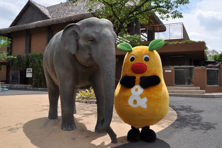 写真提供:(公財)名古屋観光コンベンションビューロー