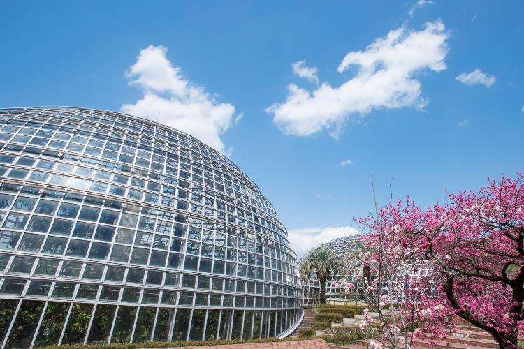 写真提供:(公財)名古屋観光コンベンションビューロー