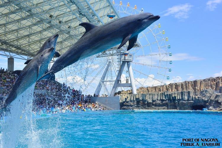 写真提供:(公財)名古屋観光コンベンションビューロー