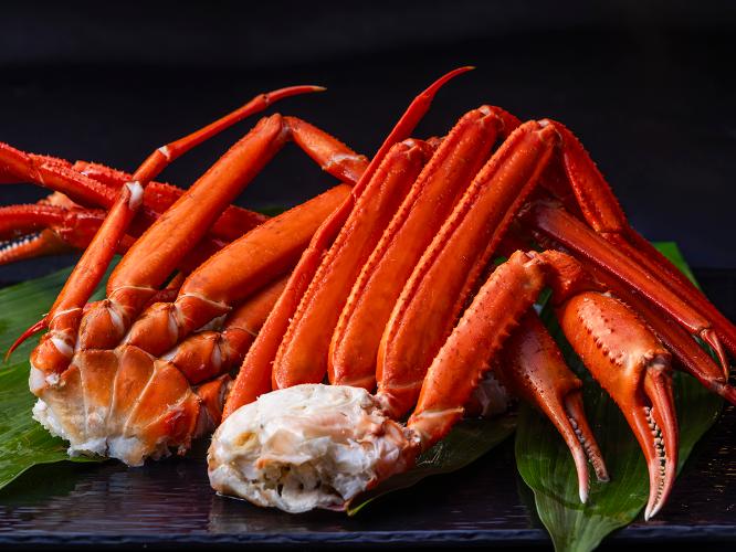 カニフェア イメージ