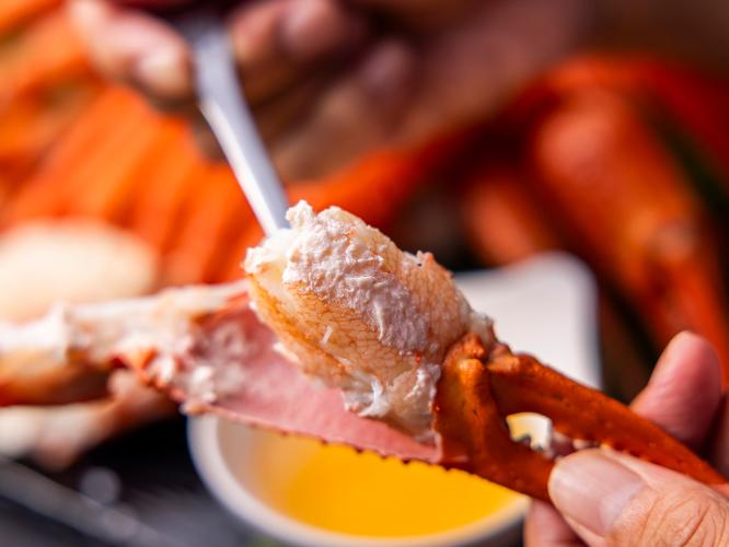 カニフェア イメージ