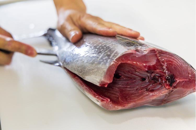 その日に揚がった旬の魚を職人の技で。島根の海が育んだ至福の味わい。