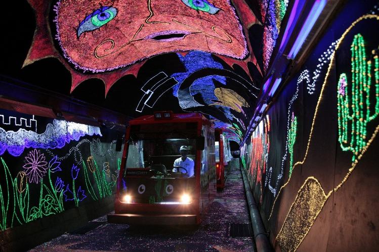 提供元：岩国市観光振興課　とことこトレイン