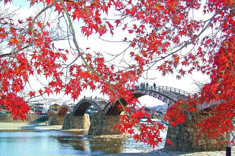 提供元：岩国市観光振興課　錦帯橋