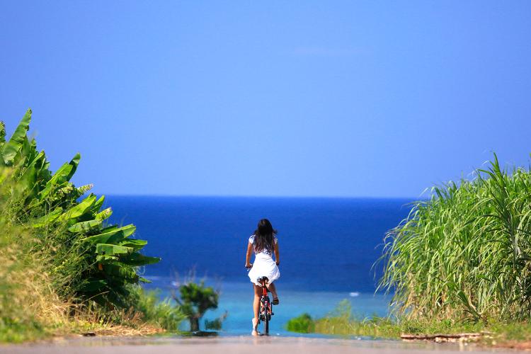 レンタルサイクル