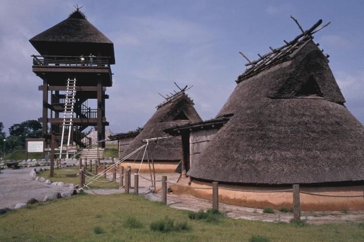 写真提供：鳥取県　伯耆古代の丘公園