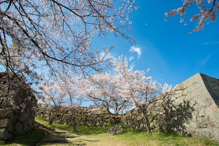写真提供：鳥取県　国史跡　米子城跡
