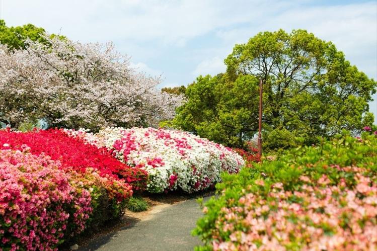 久留米百年公園　写真提供：KTIE