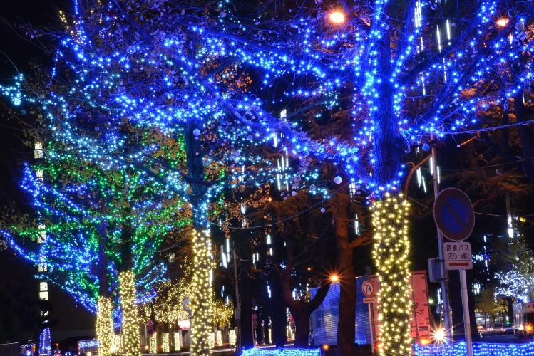 写真提供：周南観光コンベンション協会　周南ツリー祭り