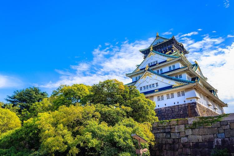 夏の大阪城