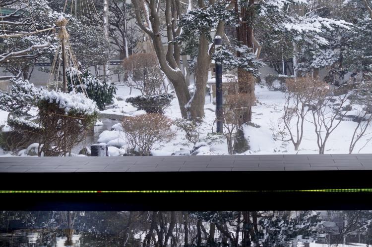 【ウォーターサイドカフェYUGEN】水盤に映り込む庭園の木々が幻想的な雰囲気を醸す冬