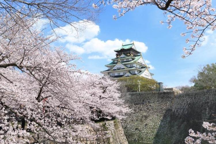 大阪城と桜