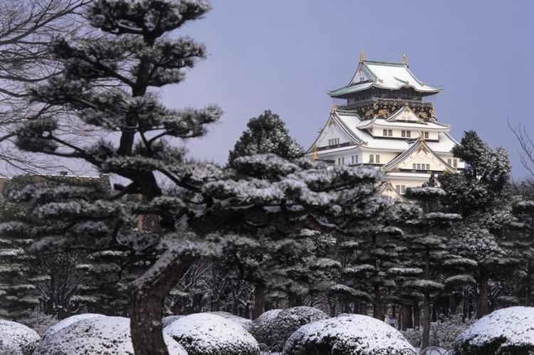 冬の大阪城