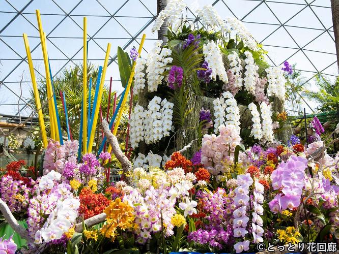 〇とっとり花回廊　＜当館より車で約75分＞