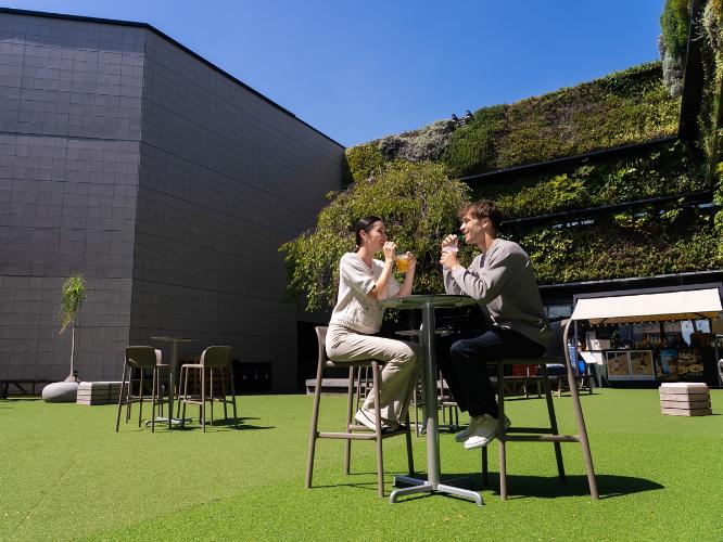 周辺観光|The Mint Ginza(徒歩約12分)