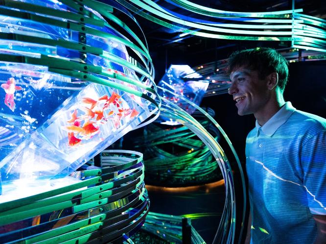 周辺観光|アートアクアリウム美術館 GINZA(徒歩約4分)