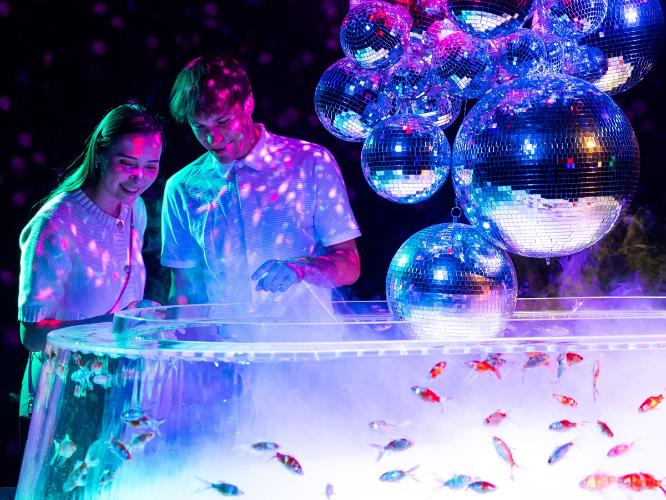 周辺観光|アートアクアリウム美術館 GINZA(徒歩約4分)