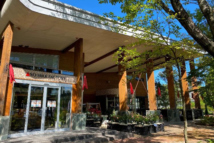 写真提供:熊本県観光連盟ASOMILKFACTORY はな阿蘇美