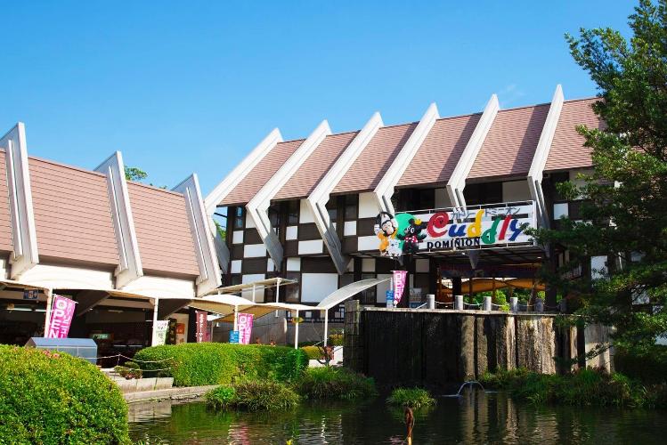 写真提供:熊本県観光連盟 阿蘇カドリー・ドミニオン