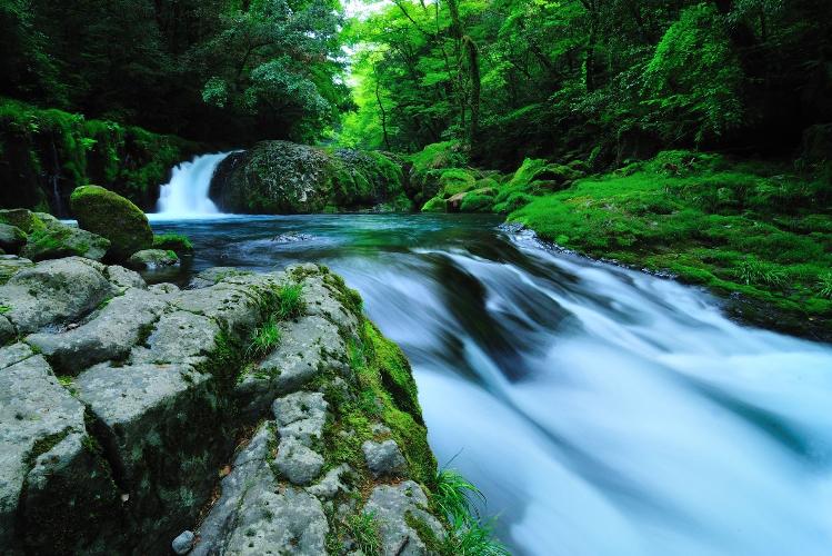 写真提供:熊本県観光連盟 菊池渓谷