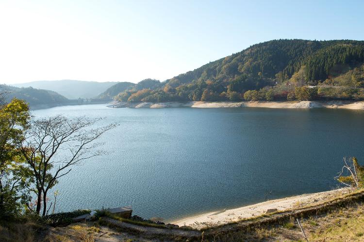 写真提供：佐賀県観光連盟　さが21世紀県民の森