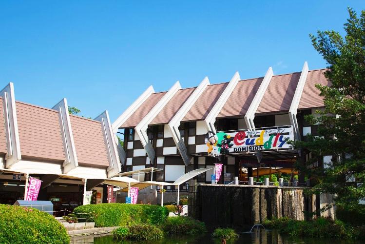 写真提供：熊本県観光連盟　阿蘇カドリードミニオン