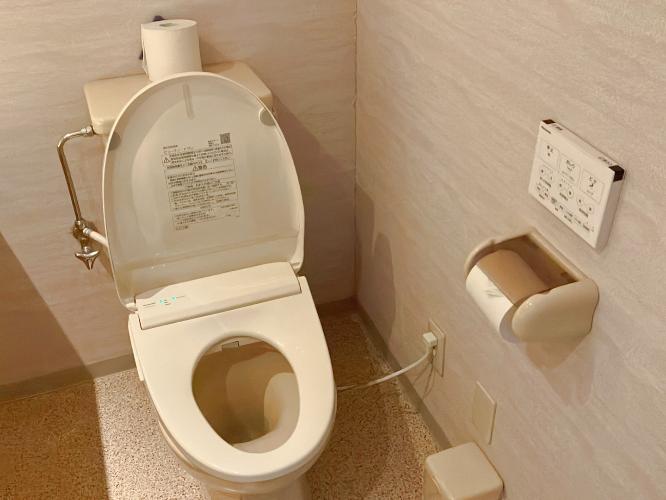 客室内トイレ（全室温水洗浄便座付き）