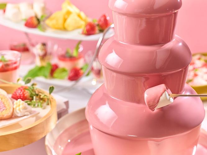 ルビーチョコレートファウンテン（3/1〜6/30春のフェアメニュー）　※イメージ