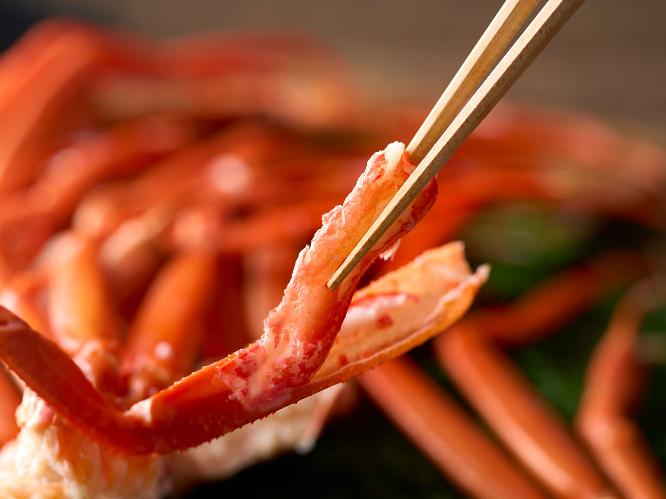 紅ズワイガニ（4/15～）　※イメージ/仕入状況によりトゲズワイガニなどに変更になる場合がございます