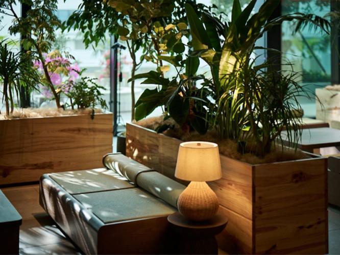 朝日の差し込むロビー