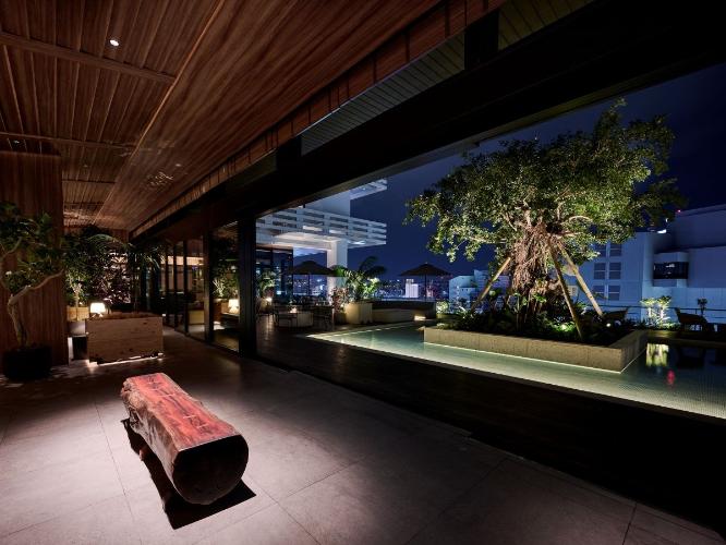 琉球アカギのベンチとシンボルツリーのガジュマル