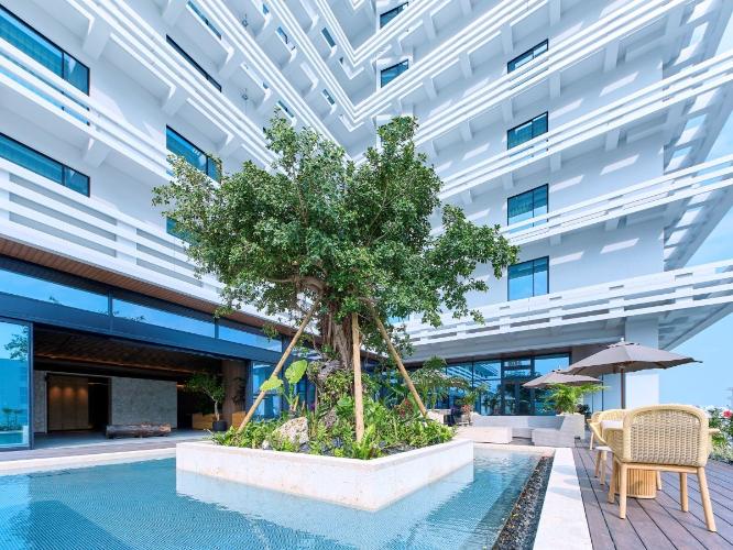 シンボルツリーのガジュマル