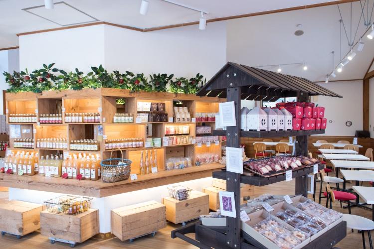 【周辺観光/奥入瀬ろまんパーク】