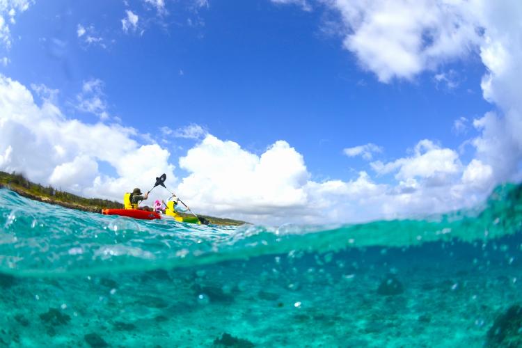 【カヤックで行くシュノーケルツアー】目の前に迫る鮮やかな珊瑚礁と熱帯魚の世界は感動的です。