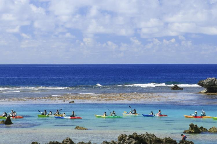【感動体験カヤックツアー】条件がよければカヤックの上から熱帯魚が見られることも。