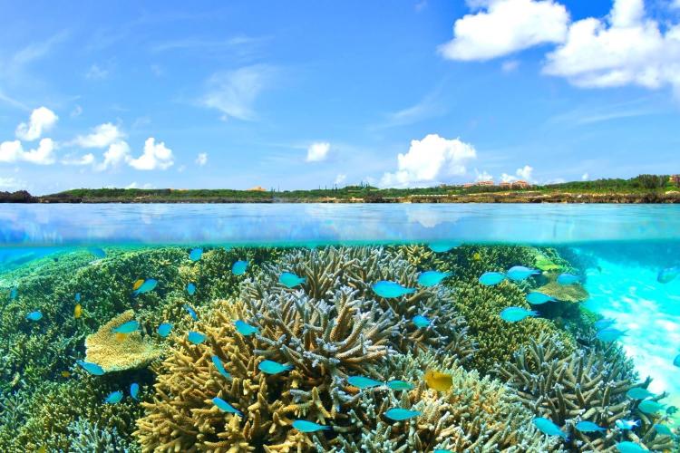 【シギラビーチ（リゾート内）】どこまでも続く抜群の透明度が魅力