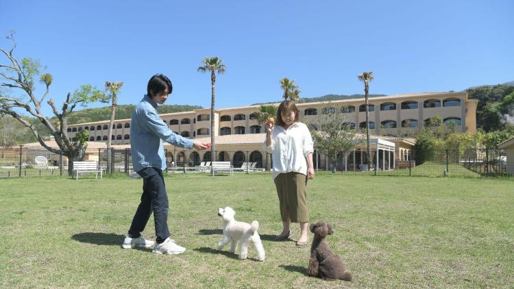 屋外ドッグラン