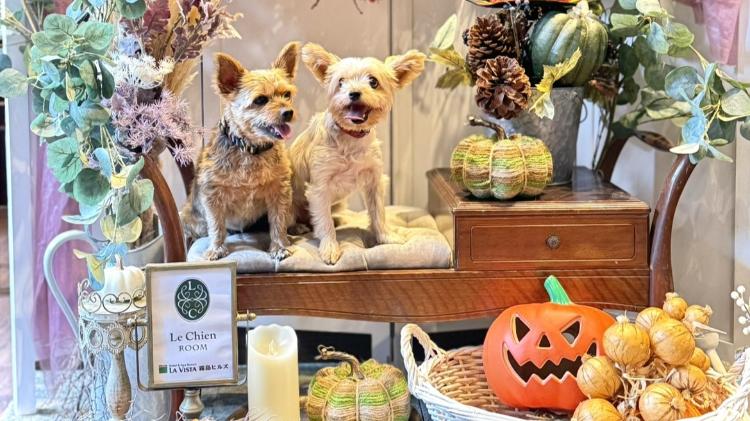 ルシアン専用【記念日フォトブース】