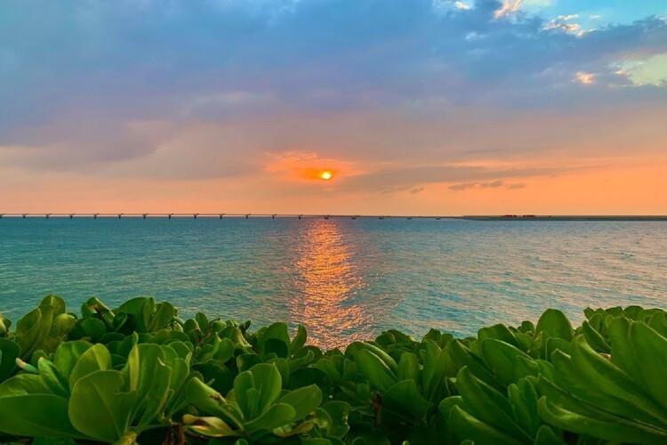 オレンジ色の夕日と海風が夕景を織りなす特別なひととき